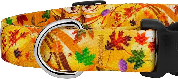 Country Brook Petz - Autumn Wind Everyday Dog Collar and Leash - Awesome Autumn Collection Featuring Designs You'll Fall for (1/2 Inch, 2XS)