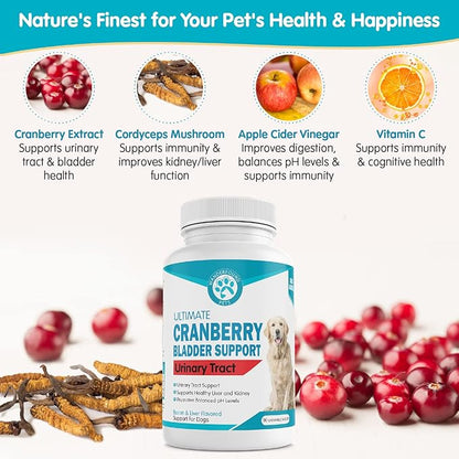 Wanderfound Pets Ultimate Cranberry Bladder UTI Support Supplement for Dogs - Dog Urinary Tract Infection Incontinence Formula with Cordyceps Mushroom - Bacon & Liver Flavor - 90 Chewable Tablets