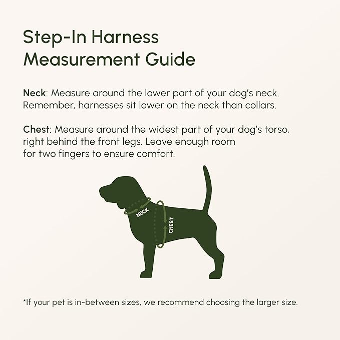 Downtown Pet Supply Step in Dog Harness for Large Dogs - Adjustable, Escape Proof Dog Harness with Reflective Trim - All-Weather, Fast-Drying Padded Mesh Fabric - Tangerine, Large