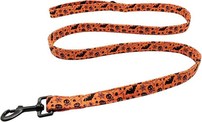 Lionet Paws Dog Leash for Small Dogs, Orange, 5/8in x 4ft