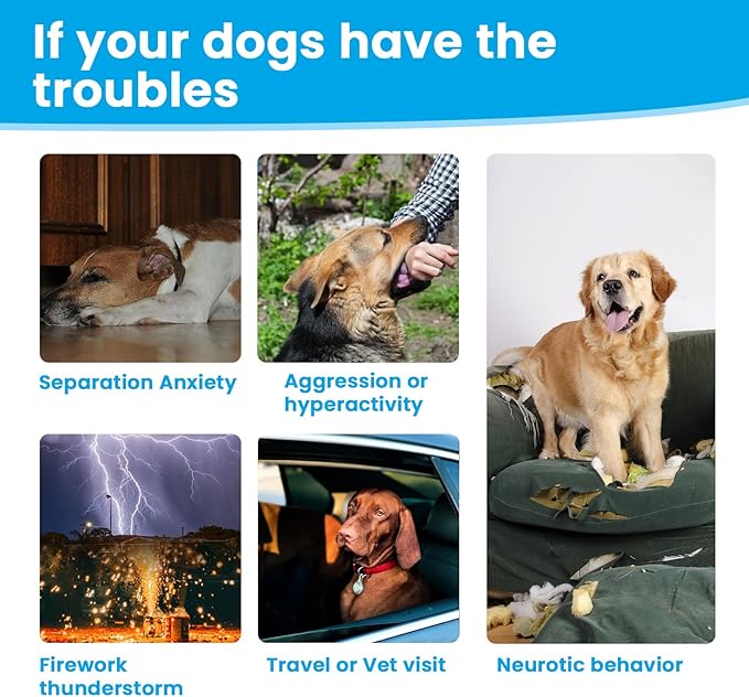 Calming Chews for Dog,Dog Calming Chews Anxiety&Stress Relief Treat with Melatonin,L-Theanine,Sleep Aid for Small/Large Dogs for Separation,Barking,Thunderstorm,Fireworks,Travel,Vet Visit -100 Counts