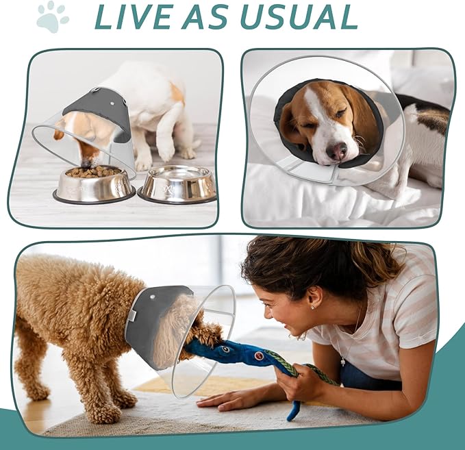 Dog Cone Collar with Snap-on Detachable Soft Liner, Lightweight Transparent Elizabethan Alternative to Stop Licking, for Spay Neuter Surgery Recovery, for Medium Large Small Dogs (Black,2XL)