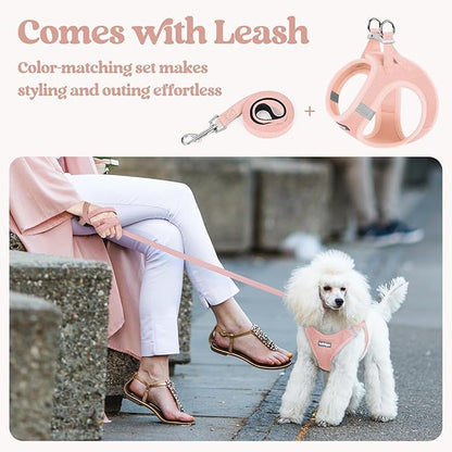 rabbitgoo Dog Harness Small Sized and Leash Set, Step in Soft Light Puppy Vest, Breathable Mesh Pet Harness, Reflective for Safe Outdoor Walking, Pink XXS
