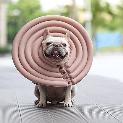 Recovery Cone for Pet Kitten Small to Large Dogs Recovery Collar Cone Neck Collar with Sticker
