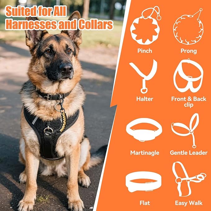 Dog Collar Safety Clip, Collar Companion, Handmade Backup Safety Strap, Double-Ended Clip Leash Connector, Suitable for Dog Harnesses, Prong, Pinch Collars (Black,Gold, 1 Pack)