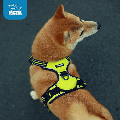 Voyager Dog Harness Dual Leash Attachment No-Pull Control Adjustable Soft but Strong Pet Harness for Medium and Large Dogs with 3M Reflective Technology, Turquoise Nylon, M (Chest: 20-25")