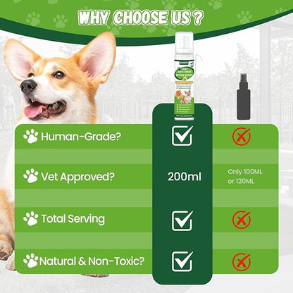 No Chew Spray for Dogs, Bitter Apple Spray for Dogs Cats Anti Chewing Licking from Furniture, Shoes, Bandages, Dog Training & Behavior Aids Spray, 200ML, Indoor & Outdoor Use