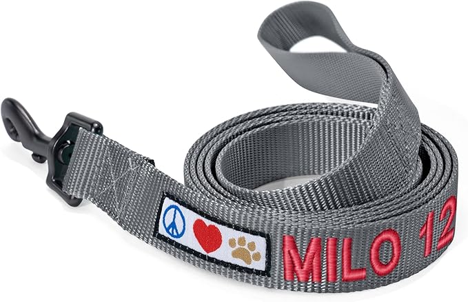 Pawtitas Personalized 6 ft Grey Dog Leash M/L Custom Name and Phone Embroidery Strong Nylon Leash for Medium and Large Breeds