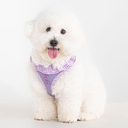 Puppia Vivien Dog Harness A (Over-the-Head) Fashionable Mesh Spring Summer Harness for Small Dogs, Violet, Large