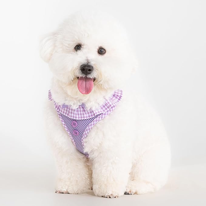 Puppia Vivien Dog Harness A (Over-the-Head) Fashionable Mesh Spring Summer Harness for Small Dogs, Violet, Small