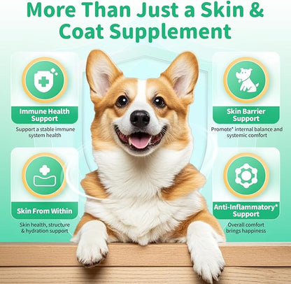 Allergy & Immune Supplement for Dogs - Omega 3-6-9 Liquid Drops for Seasonal Allergy Support, Skin Itch Relief, Less Shedding, Coat Health - with Biotin, Turmeric - Chicken Flavor - 2 FL.OZ