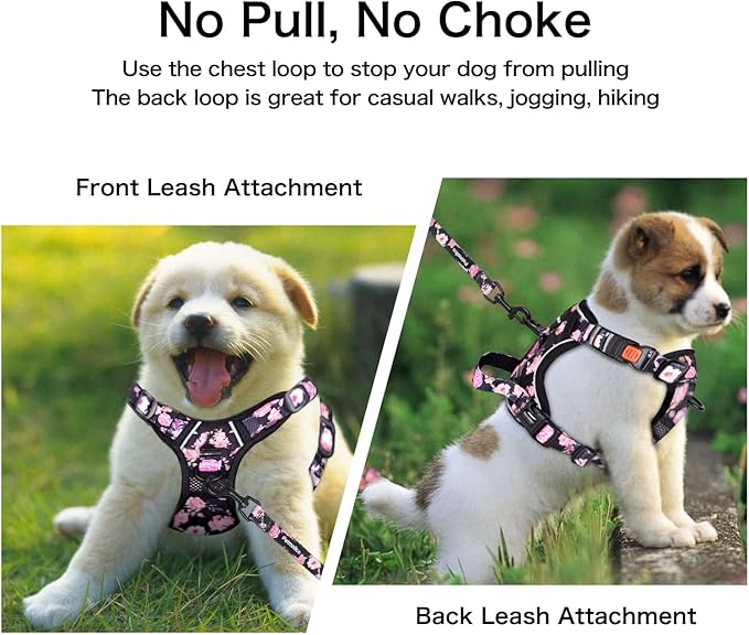Petmolico No Pull Dog Harness Set with Leash Attachment Easy Control Handle Reflective Harness Vest Small Breed, Puppy Vest and Leash Set with Poop Bag Holder, Small - Pink Rabbit