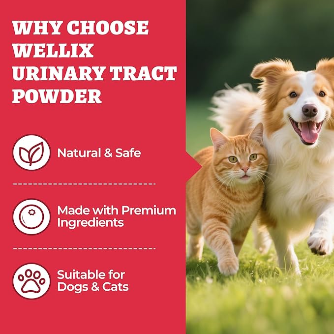 Wellix 8.8oz Large Dog and Cat Urinary Supplement - Rich in Omega-3,Cranberry for Cat UTI Treatment -Urinary Tract Podwer for Bladder & Kidney Support - Mixing with Dog&Cat Food Topper
