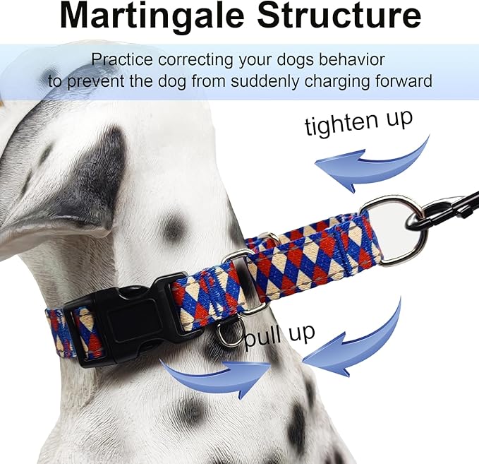Reflective Martingale Dog Collar with Buckle Soft Nylon Geometric Patterns Pet Collars for Extra Small Dogs (Argyle, XS)