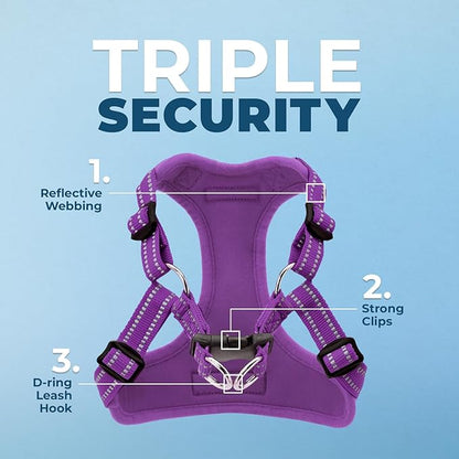 Best Pet Supplies Voyager Adjustable Step-in Flex Breathable Mesh Dog Harness for Small Medium Large Dogs (Purple), S