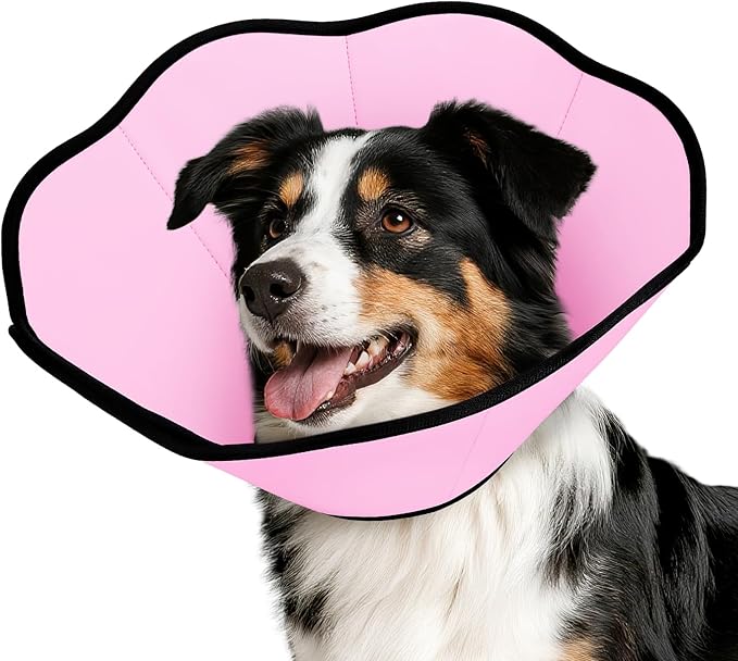 MIDOG Dog Cone Collar After Surgery, Soft Dog Cone Alternative to Stop Licking,Adjustable Elizabethan Recovery Cones for Small to Large Sized Dogs