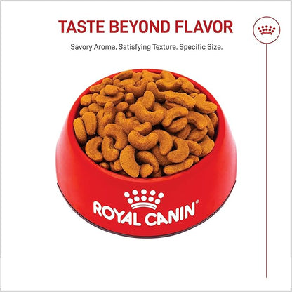 Royal Canin Breed Health Nutrition French Bulldog Adult Dry Dog Food, 17 lb Bag