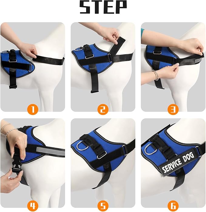 MUMUPET Service Dog Harness, No Pull Reflective Adjustable with Handle, Soft Breathable Padding for Small Dogs, 2 Removable Velcro Patches (Blue, S)