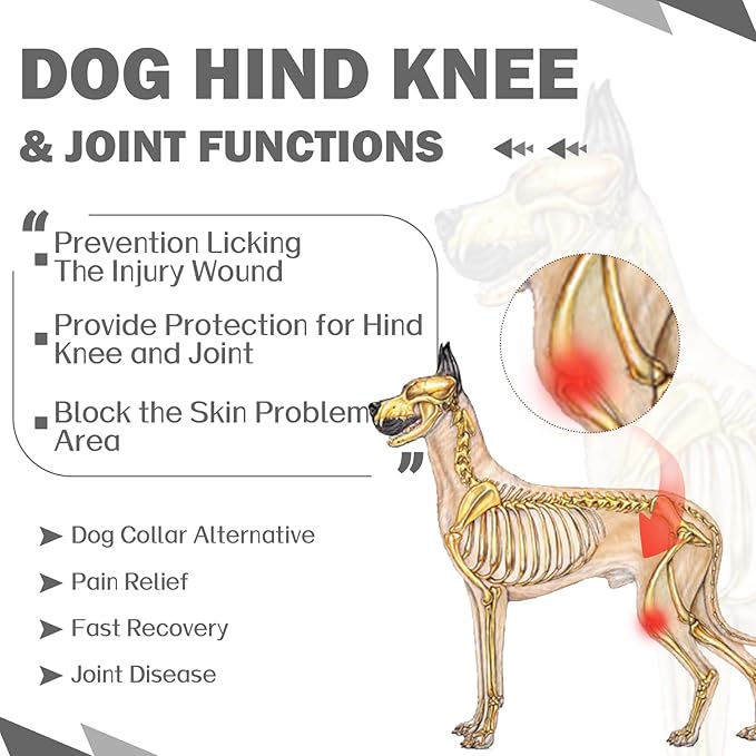 ROZKITCH Right Left Leg Recovery Sleeve for Dogs Rear Legs, Pet Prevent Licking Wound Elbow Protector, Protective Wound Pants for Dogs for Sprain ACL CCL Arthritis Joint Care Grey XL