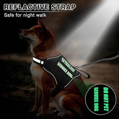 Service Dog Vest Harness and Leash Set+10 Patches,No Pull&Easy Walk Reflective Dog Harness with Soft Padded Handle for Training/Everyday,Fit Small/Medium/Large/Extra-Large Dogs(Black XL)
