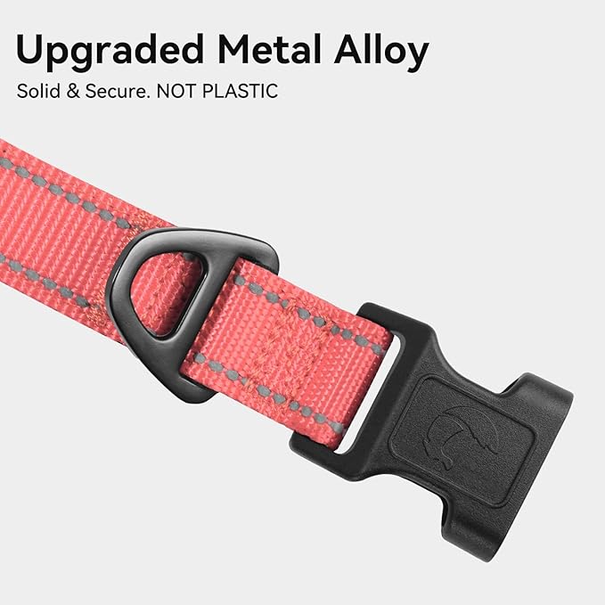 Joytale Reflective Dog Collar, Soft Neoprene Padded, Metal D-Ring, Nylon Pet Collar Adjustable for Medium Dogs, Neon Pink, M