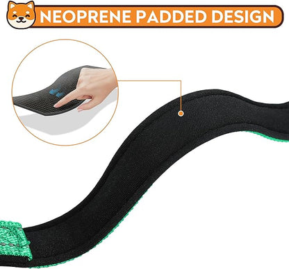 Reflective Dog Collar, Adjustable Soft Neoprene Padded Nylon Pet Collars with Buckle for Small Dogs, Grass Green,S