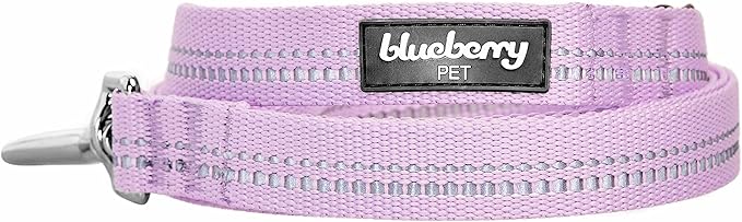 Blueberry Pet 3M Reflective Pastel Color Dog Leash with Soft & Comfortable Handle, 5 ft x 3/4", Lavender, Medium, Leashes for Dogs
