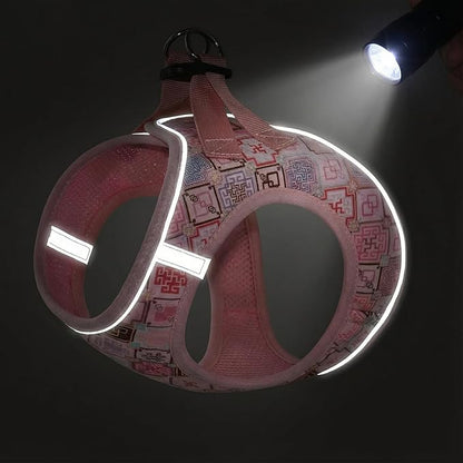 Mihqy Step in Dog Harness and Leash Set, Reflective Adjustable No Pull Dog Harness for Small Medium Dogs Puppy and Cats, Soft Padded Mesh Vest Harnesses for Girl and Boy Pets(Pink Grid,M)