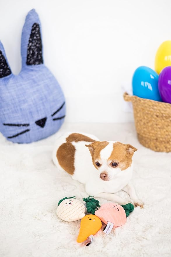 Pearhead Spring Garden Veggies Dog Toys, Plush Squeaky Rope Dog Toys, Radish Carrot & Turnip Vegetable Dog Toy Set, Loud Squeakers, Set of 3