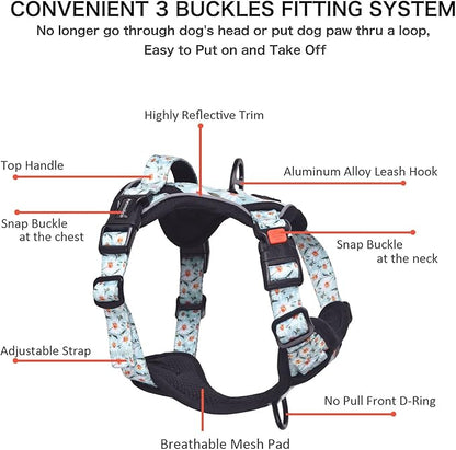 Petmolico No Pull Dog Harness Set with Leash Attachment Easy Control Handle Reflective Harness Vest Small Breed, Puppy Vest and Leash Set with Poop Bag Holder, Small - Daisy