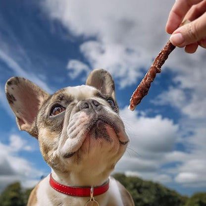 Pet 'n Shape Duck 'n Hide Twists - Duck Wrapped Rawhide Natural Dog Treats, Small, 1 Pound (Pack of 1)