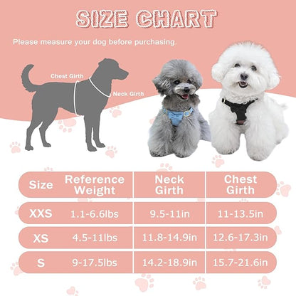 Guiding Star Dog Harness Small Sized Dog with Multifunction Leash, No Pull Puppy Dog Harness and Leash Set Training, Cute Soft Adjustable Dog Walking Harness Pet Vest Harness (Black-XS)