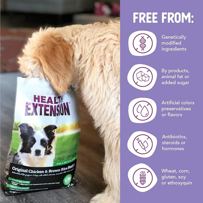Health Extension Original Chicken & Brown Rice, Protein Packed Formula with Probiotics & Superfoods for Digestion & Coat Health (40 lb Bag)