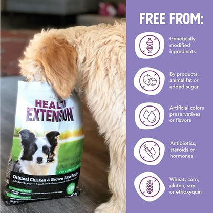 Health Extension Original Chicken & Brown Rice, Protein Packed Formula with Probiotics & Superfoods for Digestion & Coat Health (40 lb Bag)