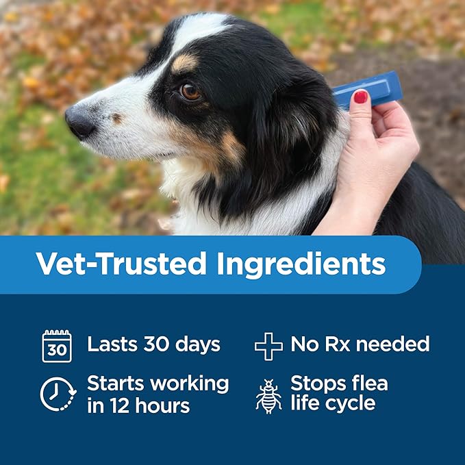 TevraPet Activate II Flea and Tick Prevention for Dogs | 4 Count | Medium Dogs 11-20 lbs | Topical Drops | 4 Months Flea Treatment (Pack of 2)
