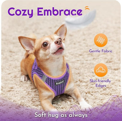 Eagloo Small Dog Harness and Leash Set, Step in Puppy Vest with Breathable Soft Mesh, Walking Reflective Pet Harness for Small Dogs, Pink, S
