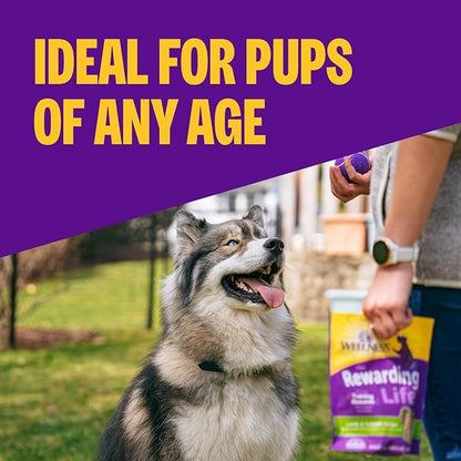 Wellness Rewarding Life Dog Treats, Training Treat, Grain Free, Soft Chicken & Venison (6 Ounce Bag)