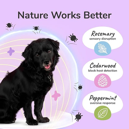 kin+kind Flea and Tick Spray for Dogs – Plant Based Flea Spray with Rosemary, Lavender & Cedarwood Oil – Pet Supplies for Bugs and Pests – Flea & Tick Pet Spray Prevention 12 fl oz