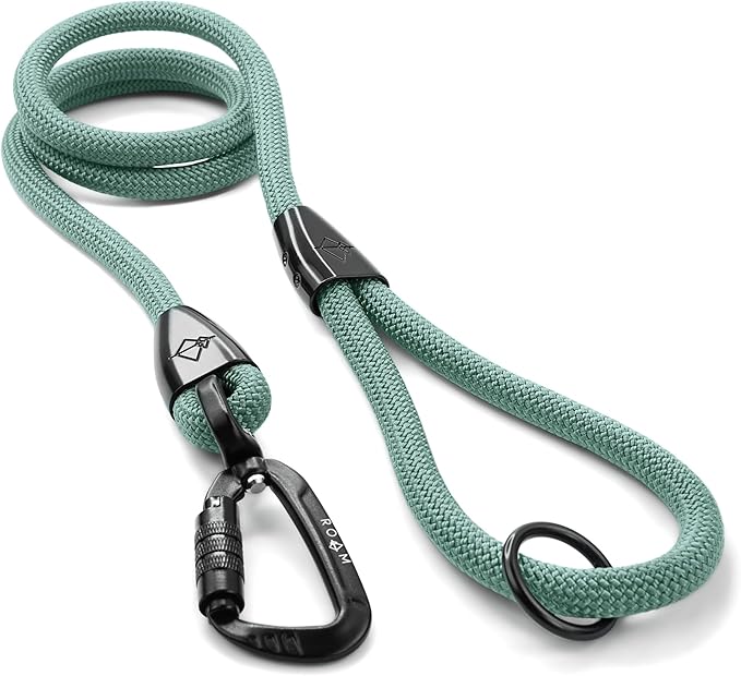 MADE TO ROAM Premium Explorer Leash - Climbing Rope Leash with Autolocking Aviation Aluminum Carabiner - Florida Seaside, 6ft