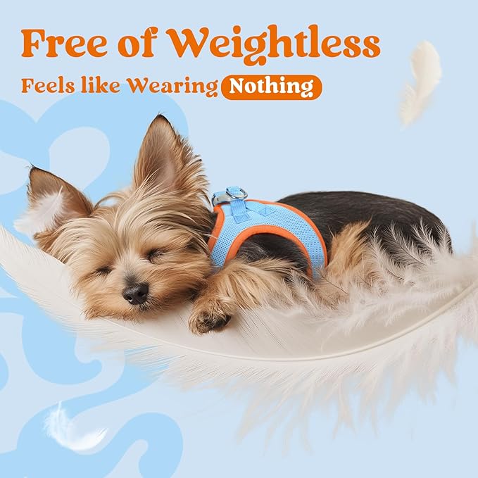 rabbitgoo Small Dog Harness, Step-in Soft Mesh Puppy Vest with Safety Buckle, Breathable Reflective Pet Harness for Small Medium Dogs, Blue & Orange L