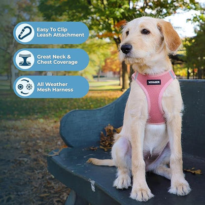 Best Pet Supplies Voyager Step-in Air All Weather Mesh Harness and Reflective Dog 5ft Leash Combo with Neoprene Handle, for Small, Medium and Large Breed Puppies - Set (Pink), Small