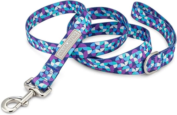 Lucky Love Dog Martingale Dog Collar & Leash - Adjustable, No-Slip, Durable, Comfortable, Soft Webbing, & Stylish Patterned Collar & Leash Set for Male and Female Dogs - Jasper Combo, Large