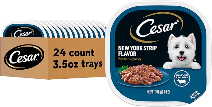 Cesar Filets in Gravy, Adult Wet Dog Food, New York Strip Flavor, Wet Food for Dogs, 3.5 oz Trays, 24 Count