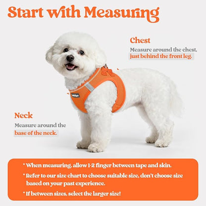 rabbitgoo Dog Harness Small Medium Sized and Leash Set, Step in Soft Light Puppy Vest, Breathable Mesh Pet Harness, Reflective for Safe Easy Walking, Orange L