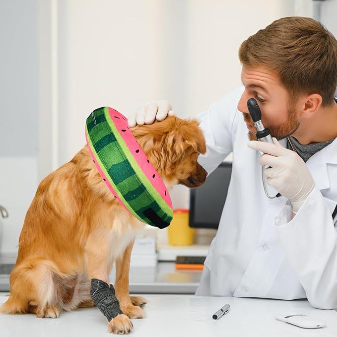 Katoggy Inflatable Dog Cone Collar for After Surgery, Soft Adjustable Blow up Donut E-Collar for Small Medium Large Dog and Cats