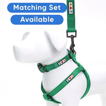 Pawtitas Solid 6 ft Lush Green Dog Leash XS/S Custom Name and Phone Embroidery Strong Nylon Leash for Small Breeds