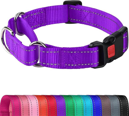 Joytale Martingale Collar for Dogs, Reflective Heavy Duty for Safety, Quick Release Buckle, Adjustable Nylon Collars for Medium Dogs Walking Training, Purple,M