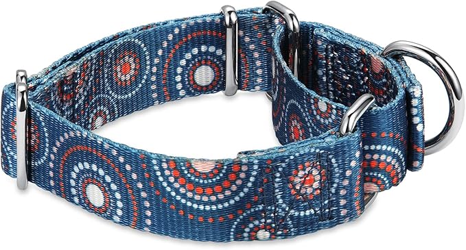 Martingale Collar Floral Print Dog Collar, No Pull Pet Collar, Heavy Duty Adjustable Dog Collar, Medium, Neck 14 Inch to 21 Inch, Firework Dots-Indigo