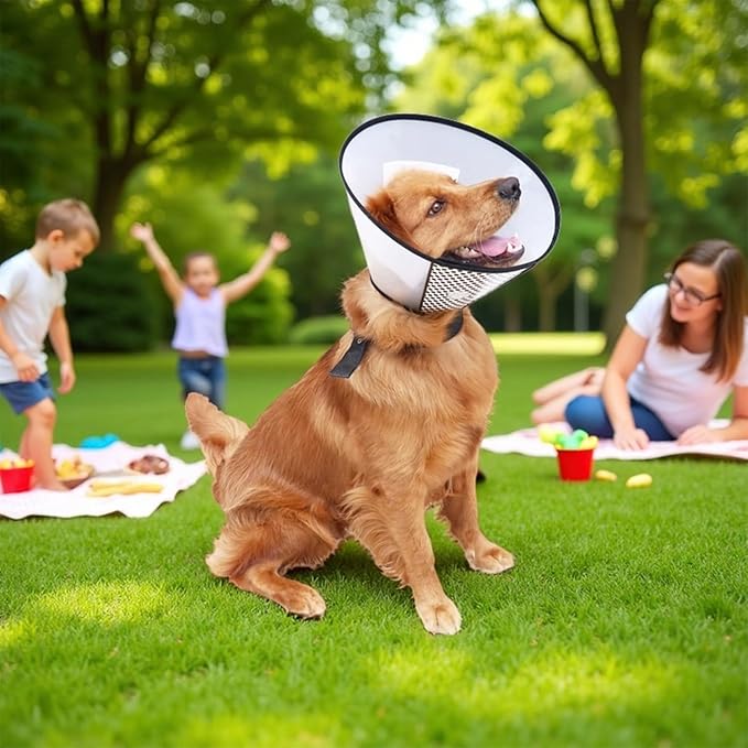Dog Cone After Surgery, Adjustable Pet Recovery Collar for Dogs and Cats, Plastic Elizabethan Neck E-Collar Stop Licking Wounds (XXL-D)