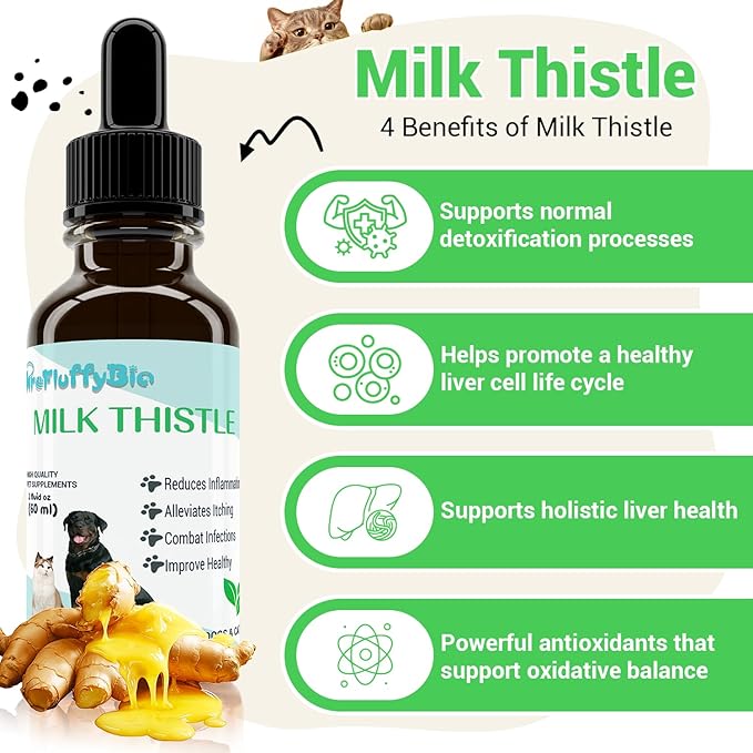 Milk Thistle for Dogs - Liver & Kidney Support, Natural Detox & Hepatic Health, with Wild Alaskan Salmon Oil & Curcumin, Omega 3 and Silymarins - Veterinarian-Formulated Herbal Supplement 2 Oz (2Pack)